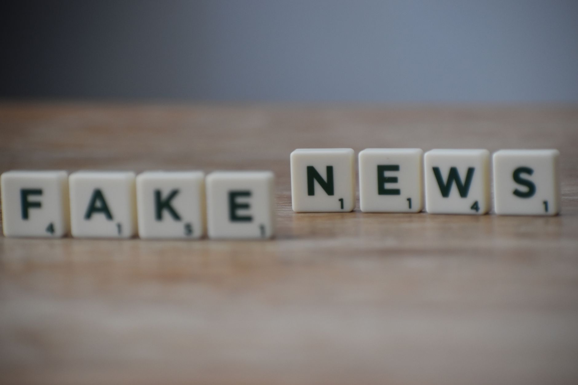Effective Strategies for Fake Profile Removal on Social Media