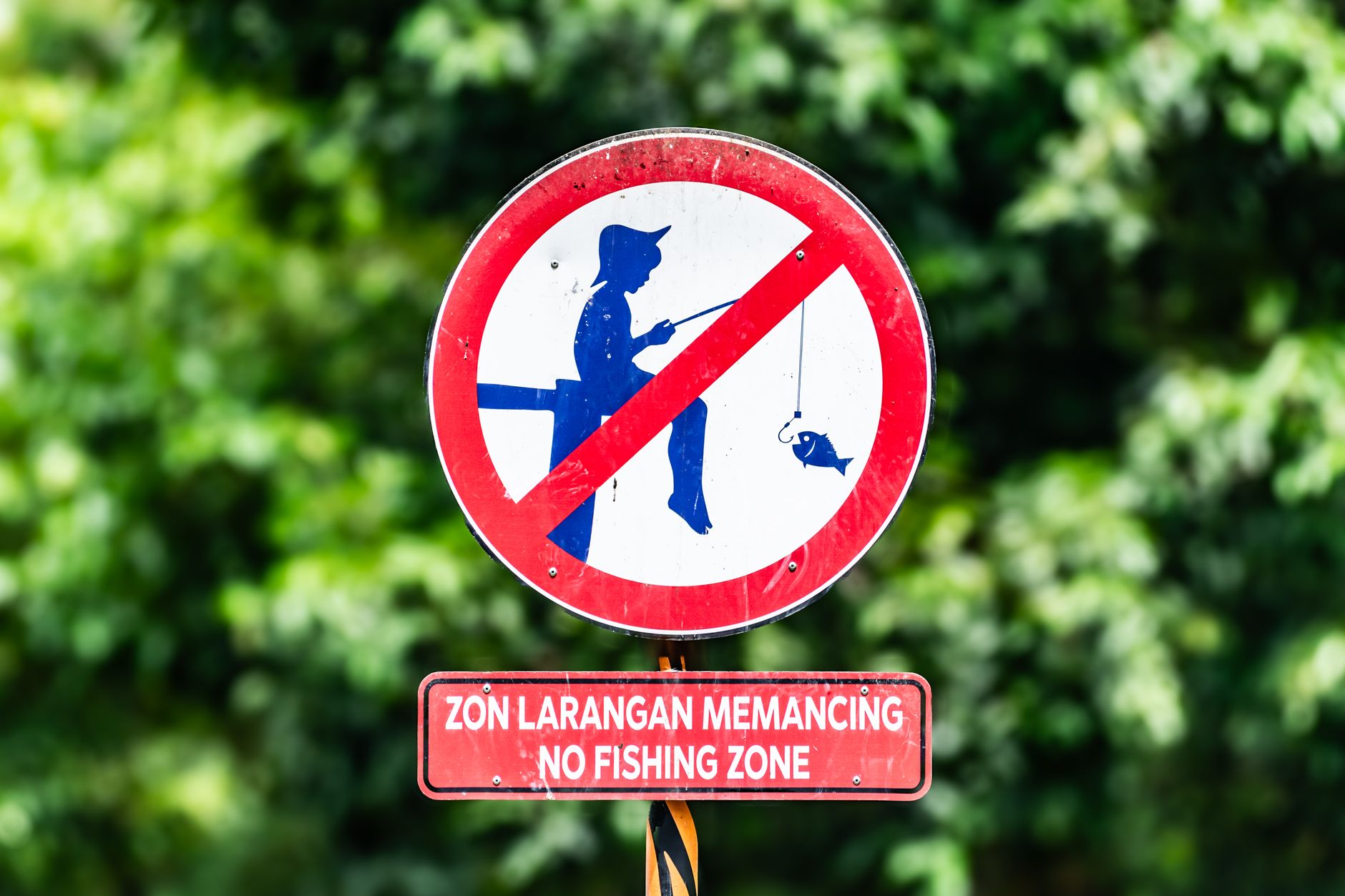 Understanding and Navigating the X Ban Service: A Comprehensive Guide
